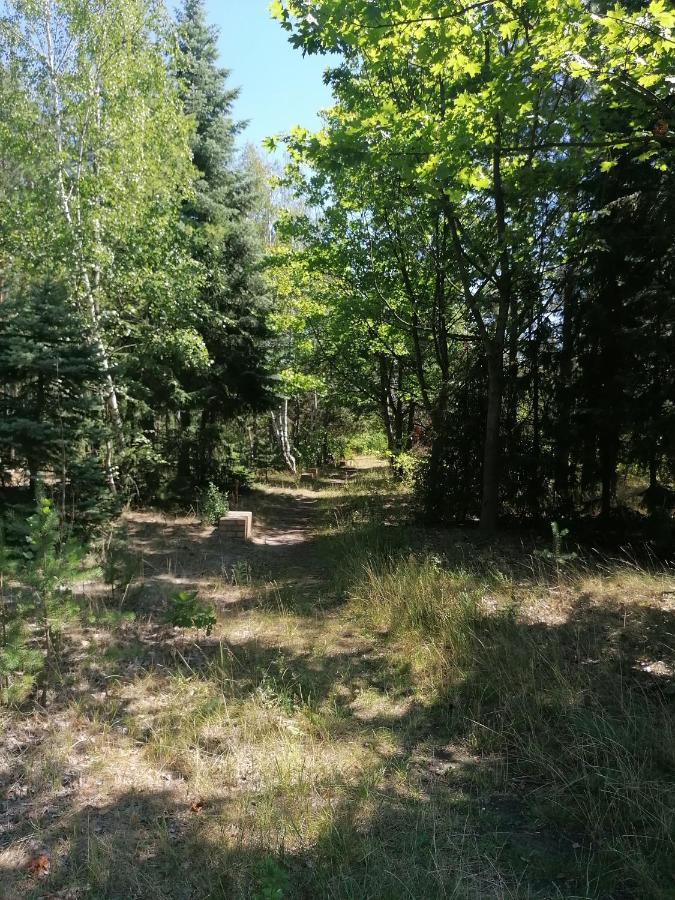 Apartment Gnubbel Am Wald Weisswasser Esterno foto